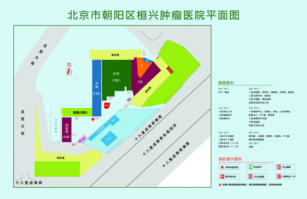 插插插黄色网站北京市朝阳区桓兴肿瘤医院平面图